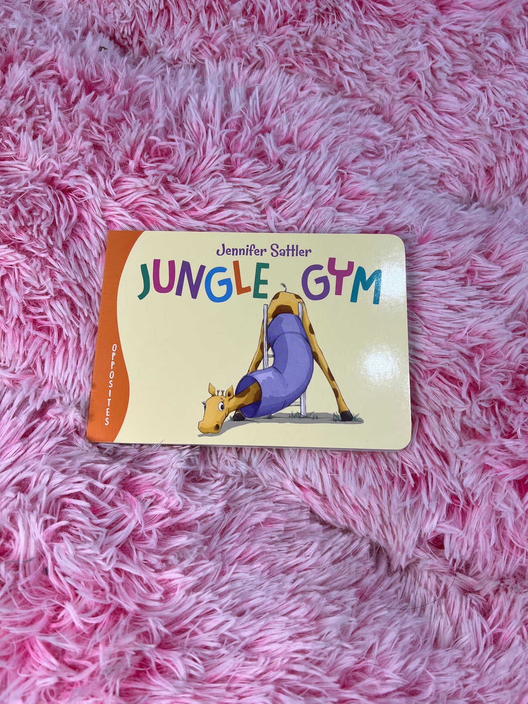 Jungle Gym - BB